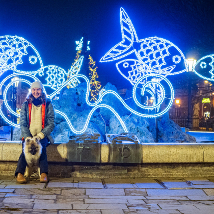 Fairy pod Kojšovou hoľou, Vianočné trhy